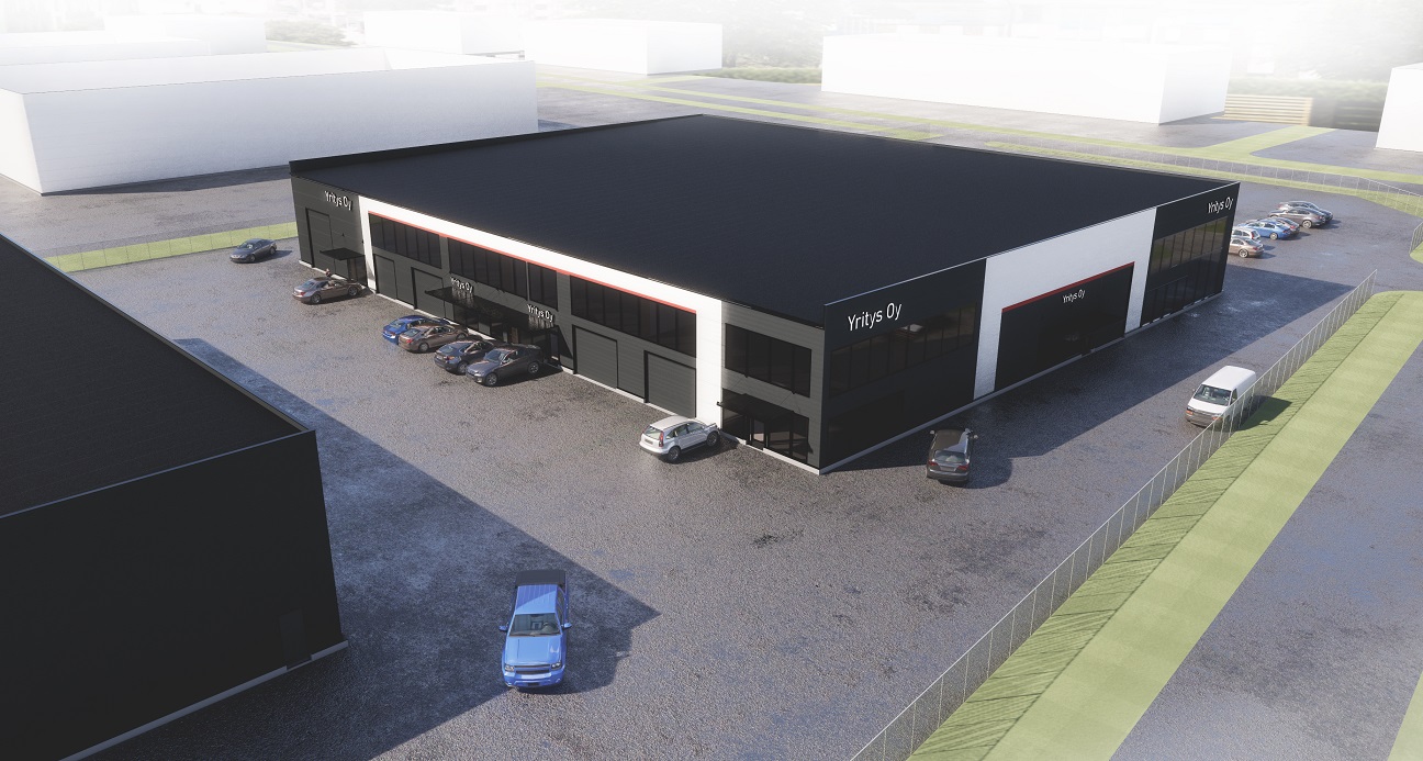 TM_02B_havainnekuva_lintu_viisto II